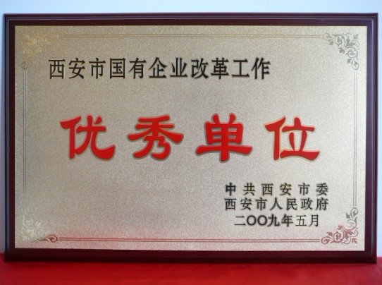 2009年5月，被西安市委、市当驹炖为西安市国企业鼎新工作优良单元